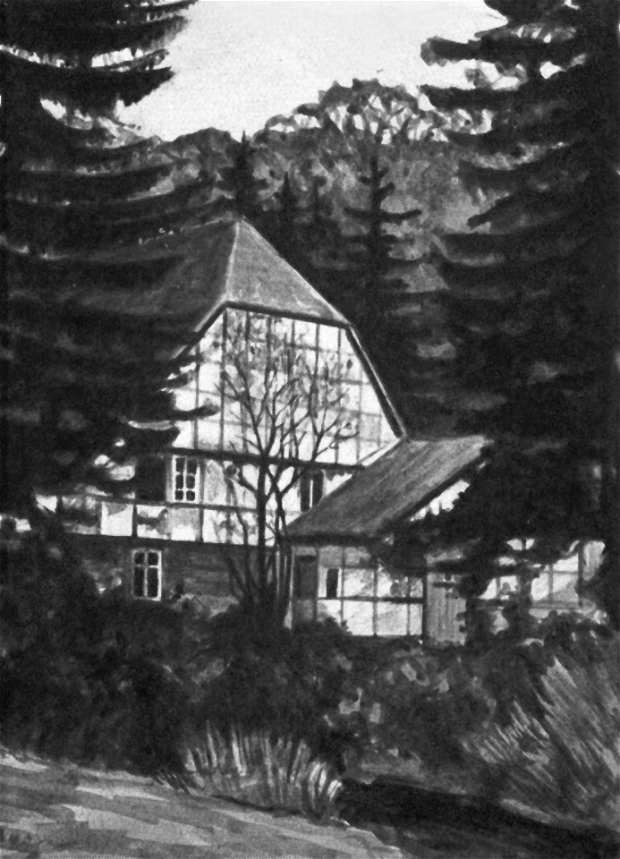 Beckendorfer Mühlenbach Wassermühle Meyer zu Bargholz