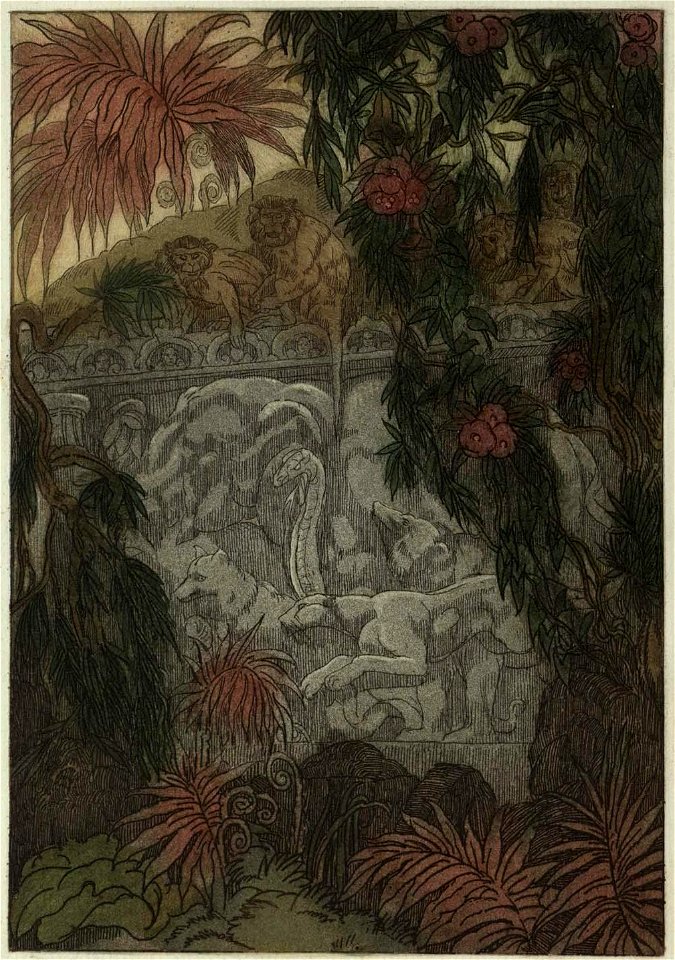 Becque - Livre de la jungle10