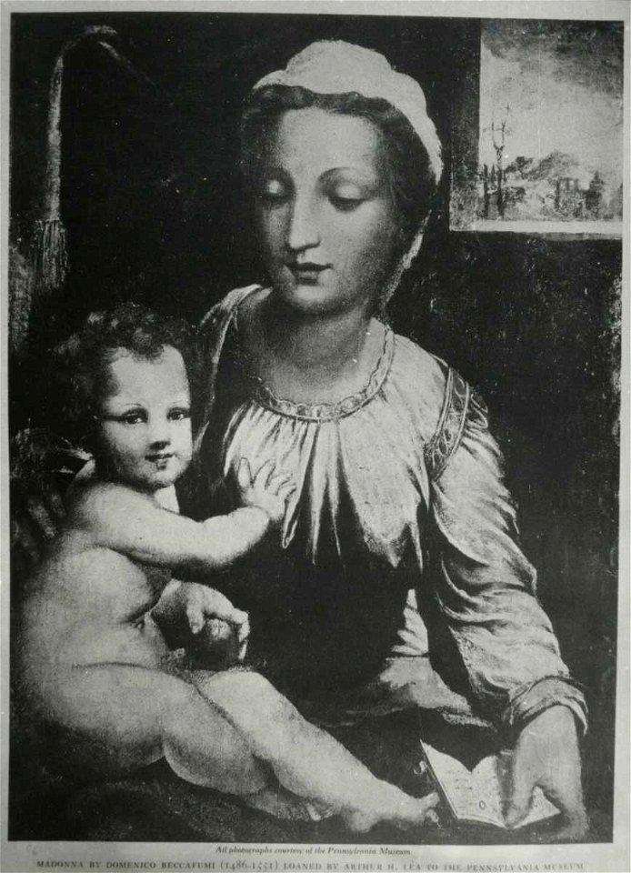 Beccafumi, attr. - Madonna con Bambino, inv. 38-1-43