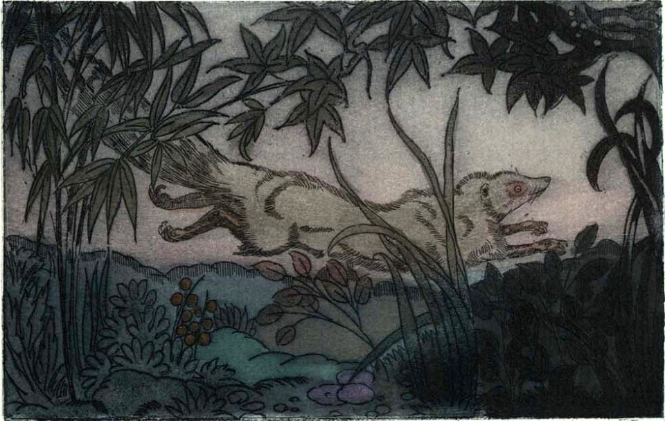 Becque - Livre de la jungle, p173