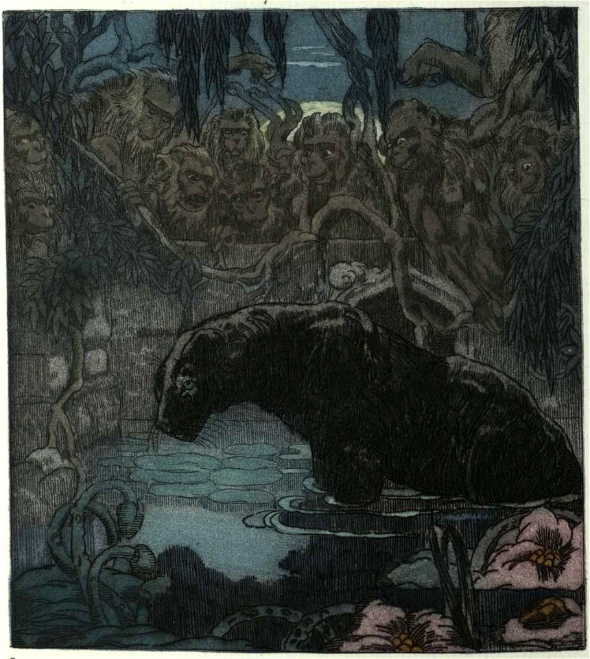 Becque - Livre de la jungle, p66
