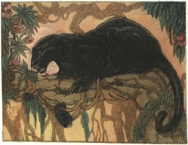Becque - Livre de la jungle, p18