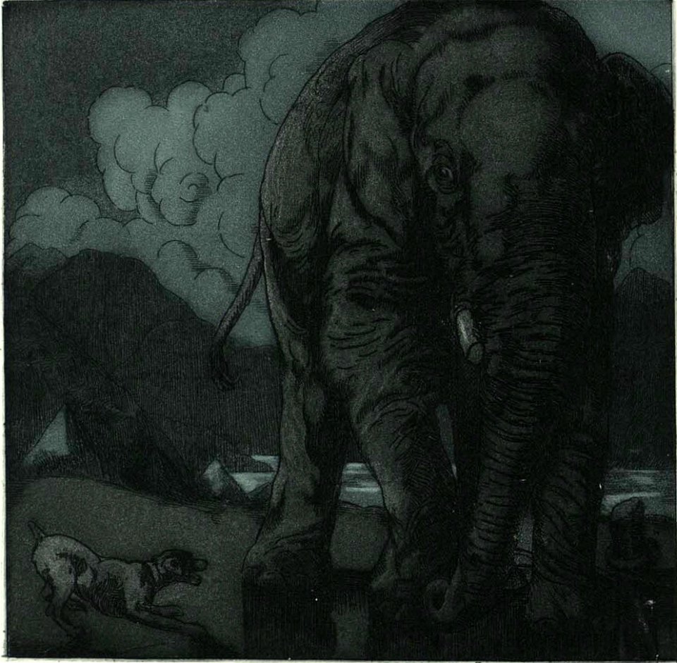 Becque - Livre de la jungle, p240