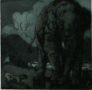 Becque - Livre de la jungle, p240