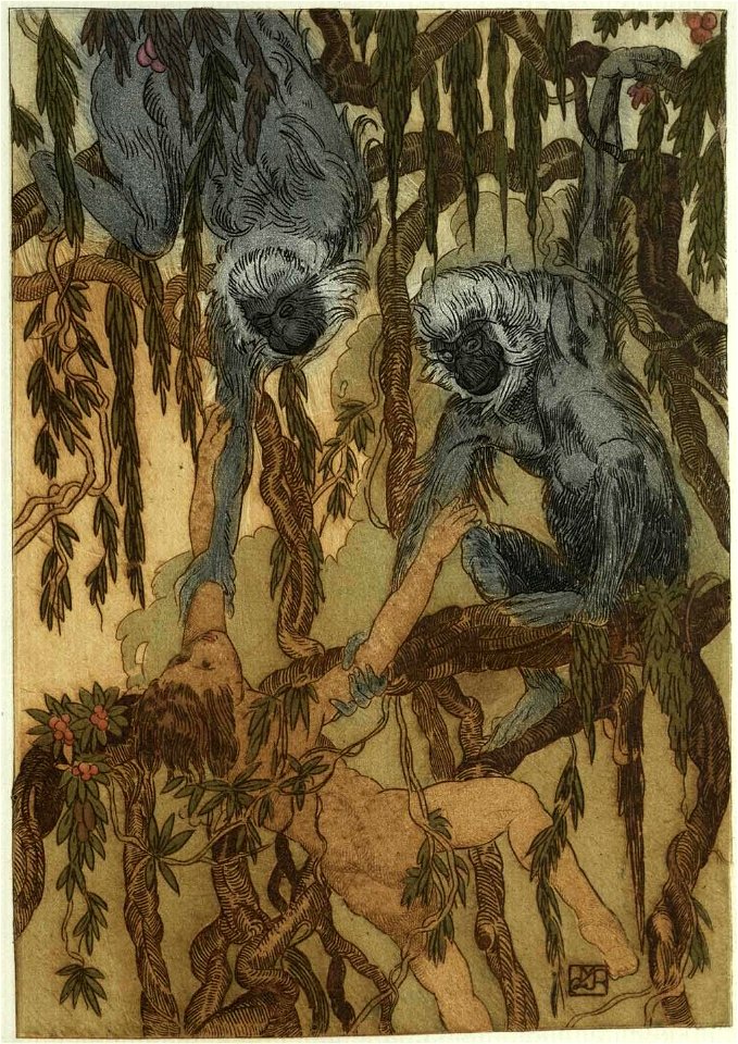 Becque - Livre de la jungle, p48