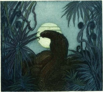 Becque - Livre de la jungle, p177
