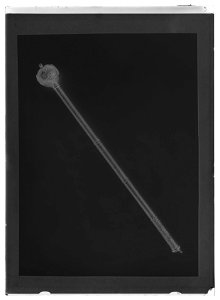 Befälstecken, s.k. bulawa (putschan) med etui nr 9361 - Livrustkammaren - 921-negative