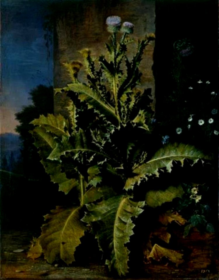 Abraham Begeyn - Distels en korenbloemen - Gal.-Nr. 1220 - Staatliche Kunstsammlungen Dresden