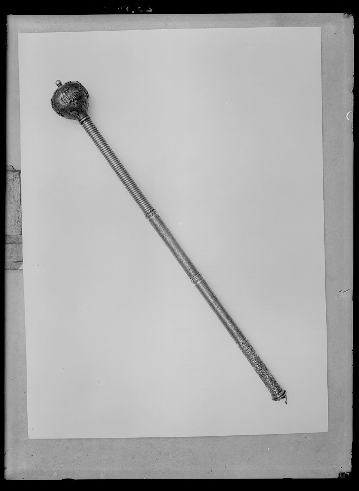Befälstecken, s.k. bulawa (putschan) med etui nr 9361 - Livrustkammaren - 60833