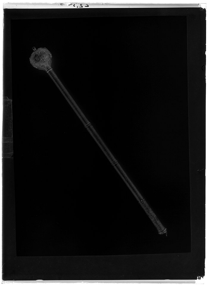 Befälstecken, s.k. bulawa (putschan) med etui nr 9361 - Livrustkammaren - 60833-negative