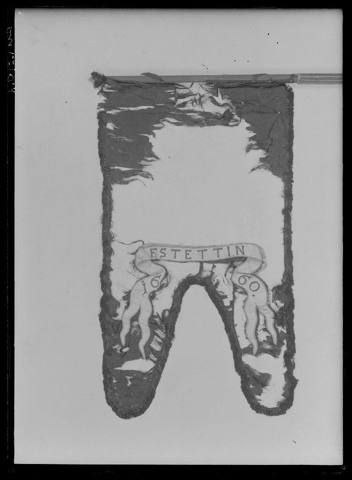 Begravningsbanér, Stettin, förd i Karl X Gustavs begravningståg 1660 - Livrustkammaren - 10415