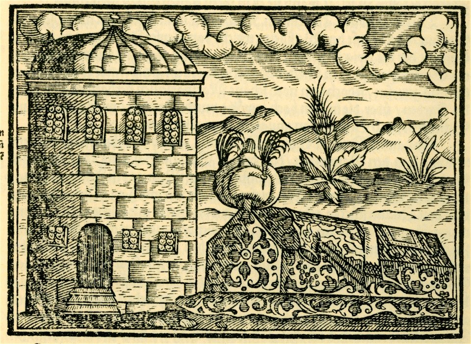 Begrebnissen der Keyser und grossen Herren - Schweigger Salomon - 1608