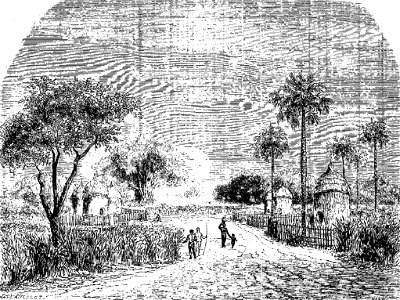 Belenia-VillageBari
