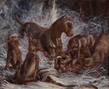 Bela Pallik Wolfshunde