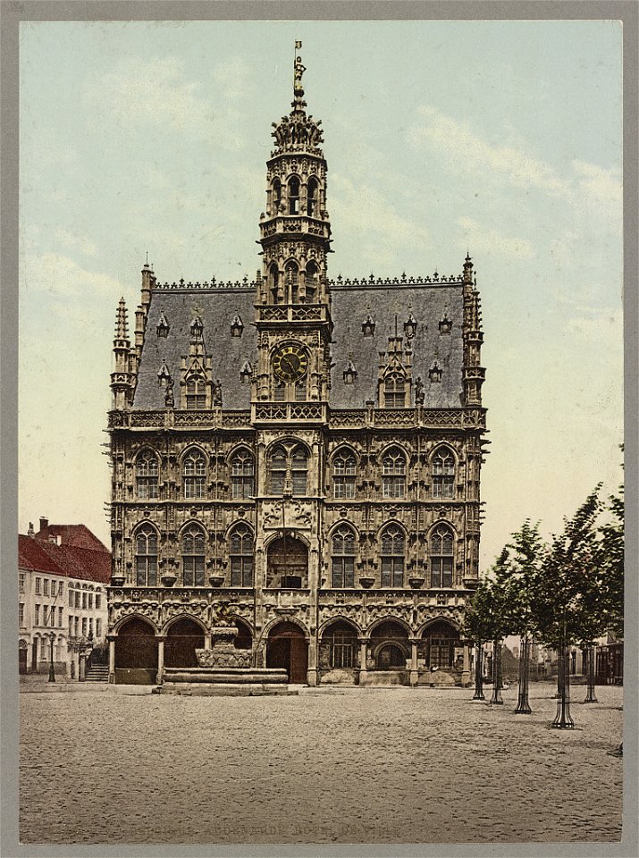 Belgique. Audenarde. Hôtel de Ville LCCN2017659115