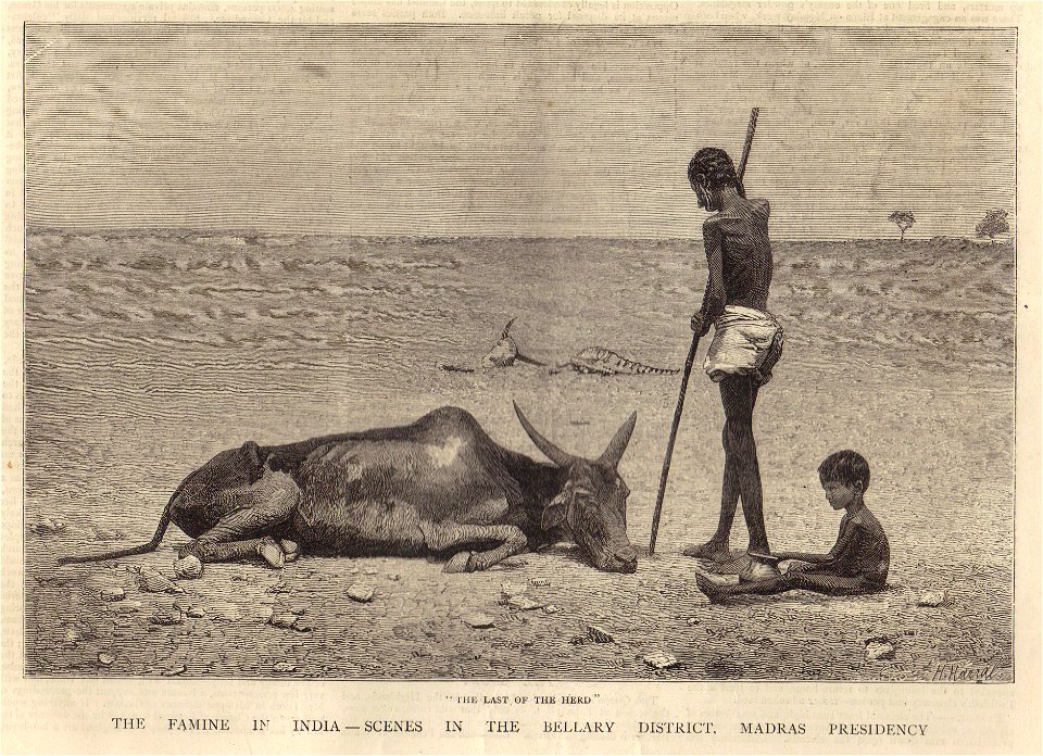 Bellary Zilla,Great Famine of 1876–78.