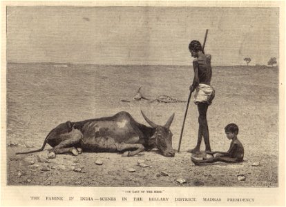 Bellary Zilla,Great Famine of 1876–78.