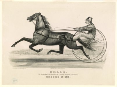 Bella- by Rysdyk's Hambletonian, dam by Jupiter Abdallah. Record 2-22 LCCN90711730