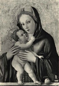 Bellini - Madonna con Bambino, Collezione A.F. Philips