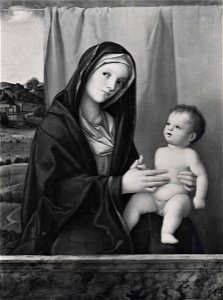 Bellini, bottega - Madonna con Bambino, Collezione Cook