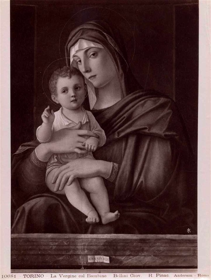 Bellini - Madonna con Bambino benedicente, inv. 157