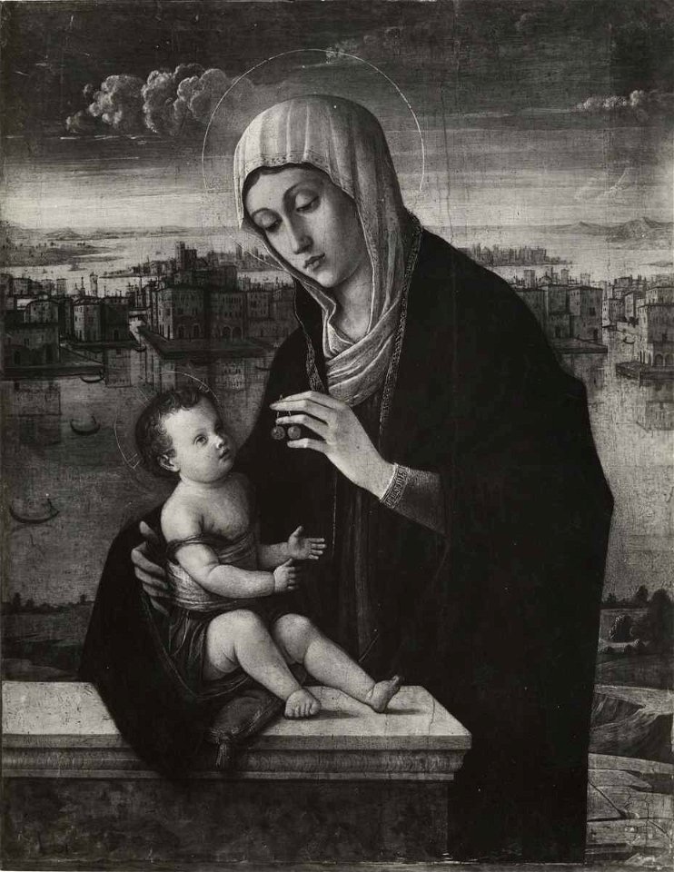 Bellini - Madonna con Bambino, Collezione V. Cini