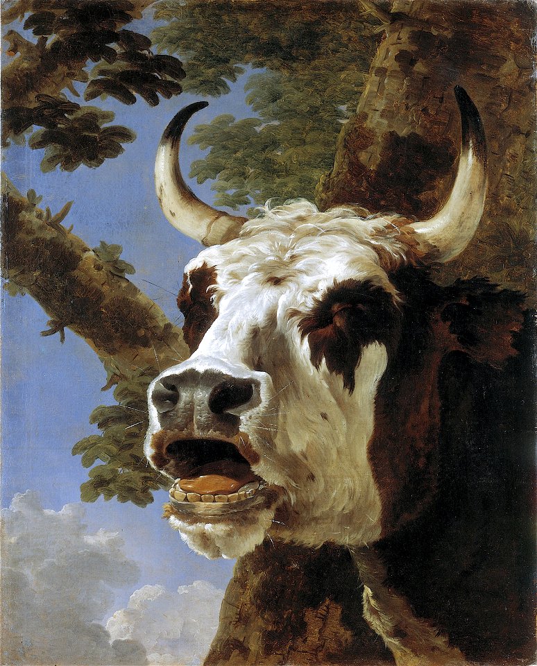 Bellowing ox, by Jan Asselijn
