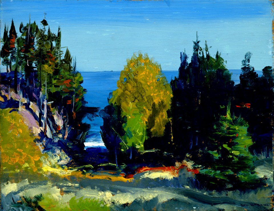 George Bellows - The Grove - Monhegan, 1911