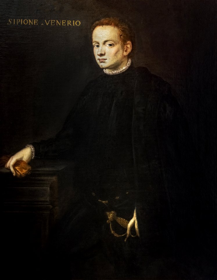 Bemberg Fondation Toulouse - Portrait de Scipione Venerio (1560-1570) - Tintoret Inv.1048 120x91.5