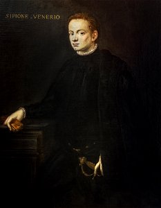 Bemberg Fondation Toulouse - Portrait de Scipione Venerio (1560-1570) - Tintoret Inv.1048 120x91.5
