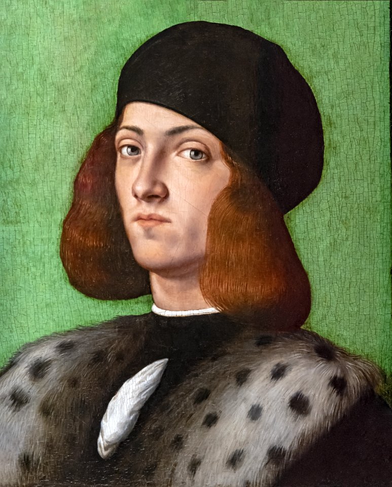 Bemberg Fondation Toulouse - Ritratto di un giovane uomo con un cappellino nero - Andrea Previtali 33x27 Huile sur panneau Inv.1041