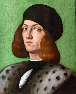 Bemberg Fondation Toulouse - Ritratto di un giovane uomo con un cappellino nero - Andrea Previtali 33x27 Huile sur panneau Inv.1041