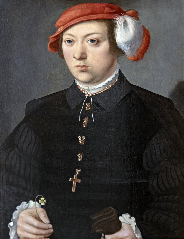Bemberg Fondation Toulouse - Portrait de gentilhomme - Barthel Bruyn (II) - Huile sur panneau