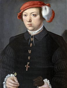 Bemberg Fondation Toulouse - Portrait de gentilhomme - Barthel Bruyn (II) - Huile sur panneau