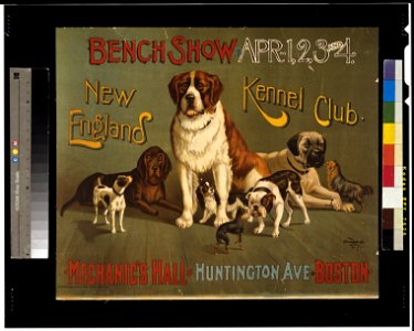 Bench show. New England Kennel Club LCCN2004675374