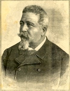 Benedetto Cairoli xilografia