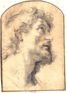 Benedetto Luti - Study of the Head of Saint Crispin - Google Art Project