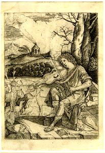 Benedetto Montagna Orpheus