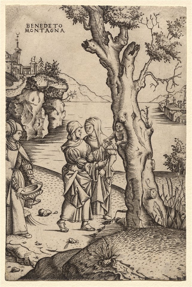 Benedetto Montagna (Italian, c. 1481-1555-58) - Birth of Adonis (from the series, The Metamorphoses) - 1954.566 - Cleveland Museum of Art