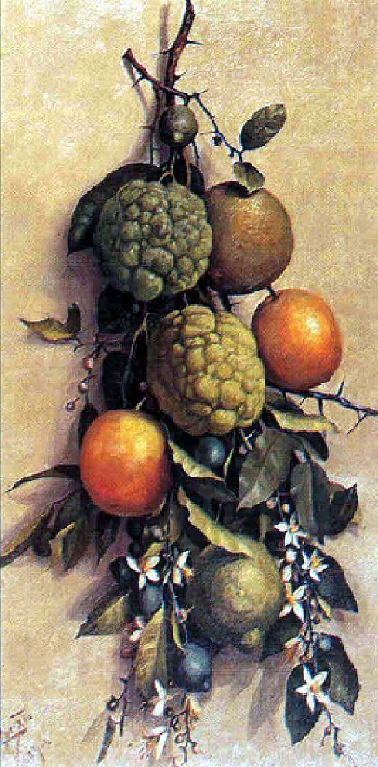 Benedito Calixto - Frutas