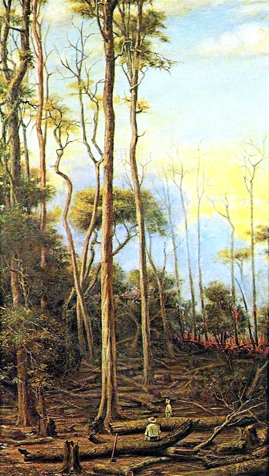 Benedito Calixto - As Perobeiras