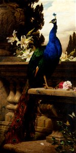 Benczúr A Peacock in a Classical Landscape with Lillies and Roses