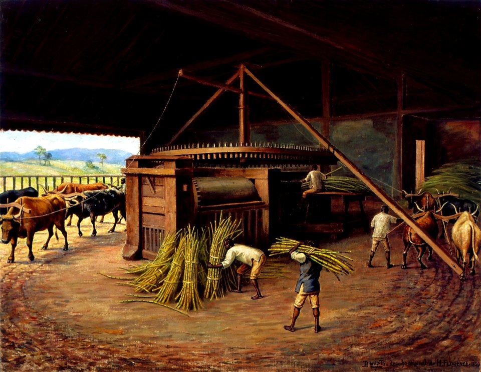 Benedito Calixto de Jesus - Moagem de Cana - Fazenda Cachoeira - Campinas, 1830, Acervo do Museu Paulista da USP