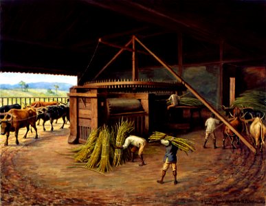 Benedito Calixto de Jesus - Moagem de Cana - Fazenda Cachoeira - Campinas, 1830, Acervo do Museu Paulista da USP