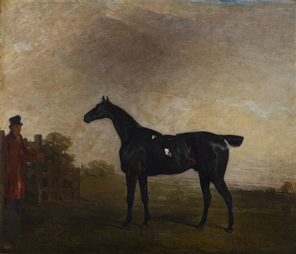 Benjamin Marshall (1768-1835) - A Black Horse - RCIN 400999 - Royal Collection