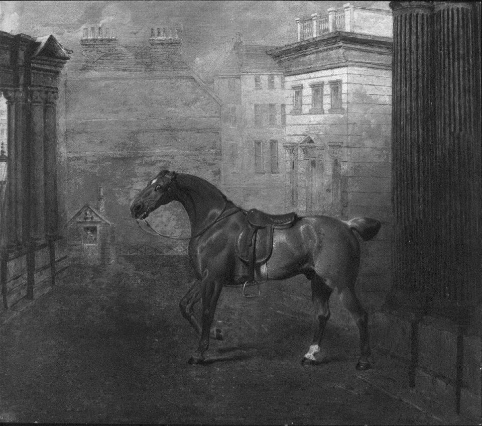 Benjamin Marshall (1768-1835) - A Roan Hack - RCIN 405033 - Royal Collection