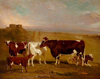 Benjamin Marshall (1768-1835) - Portraits of Cattle of the Improved Short-Horned Breed, the Property of J. Wilkinson Esq. of Lenton, near Nottingham - T03433 - Tate