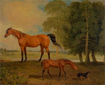 Benjamin Marshall - Broodmare with Foal, and a Terrier - Google Art Project. Free illustration for personal and commercial use.
