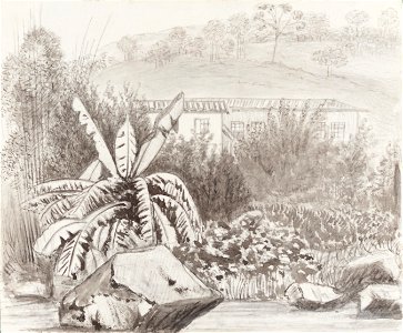Bennett's Cottage & Garden Tijuca from the Garden. April 1854, da Coleção Brasiliana Iconográfica
