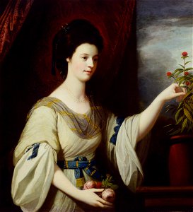 Benjamin West - Portrait of Diana Mary Barker (born ca. 1749) - 31.39 - Minneapolis Institute of Arts